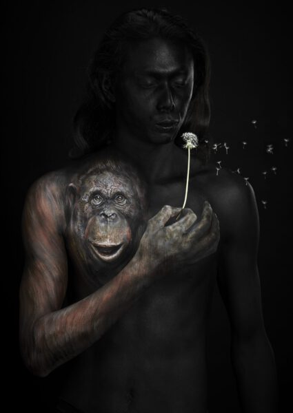 Amazing-Jiro